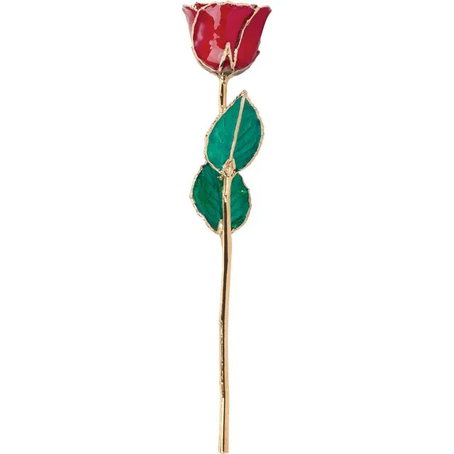 Lacquered Ruby Rose with Gold Trim