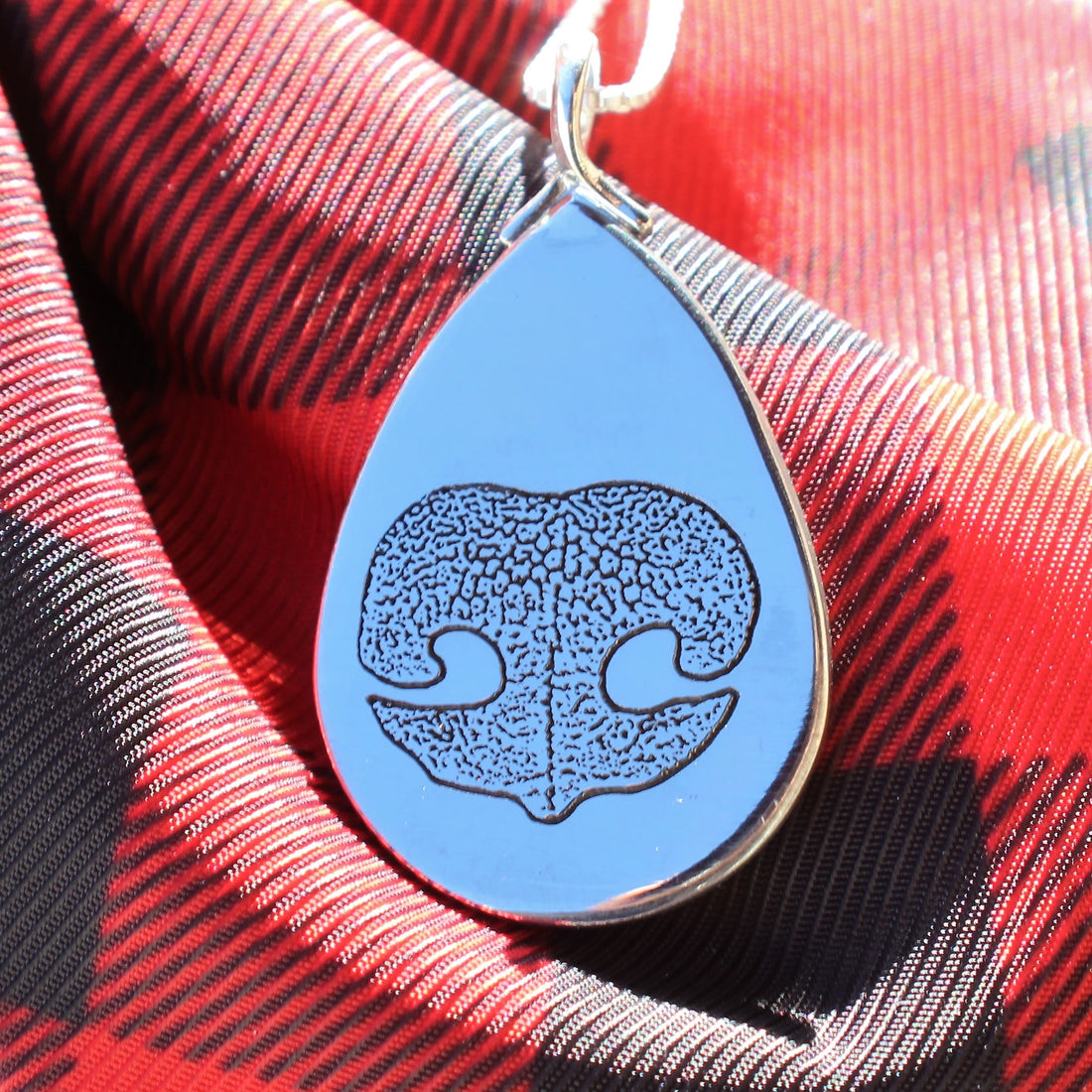 Nose Print Photo Gallery