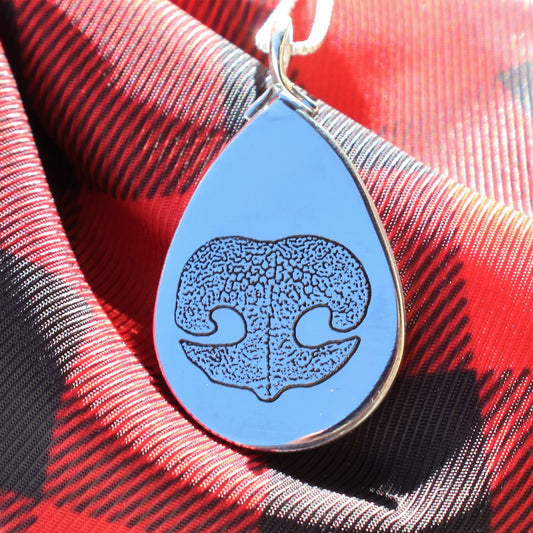 Nose Print Photo Gallery