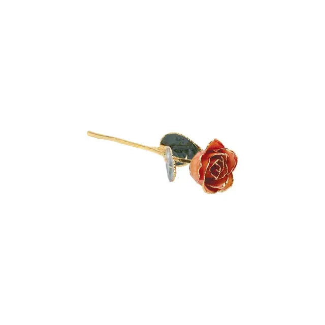 Lacquered Orange Rose with Gold Trim