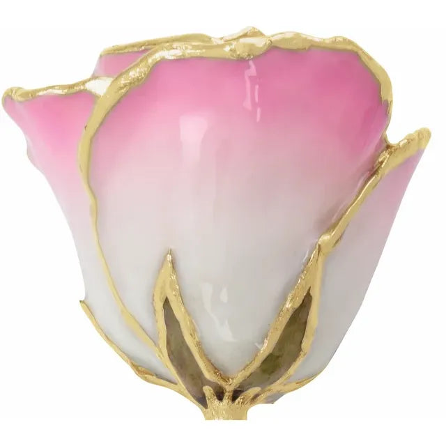 Lacquered Cream & Pink Rose with Gold Trim