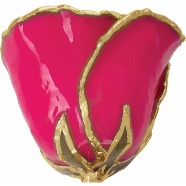 Lacquered Magenta Rose with Gold Trim