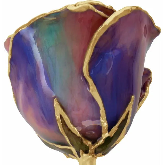 Lacquered Opal Colored Rose with Gold Trim