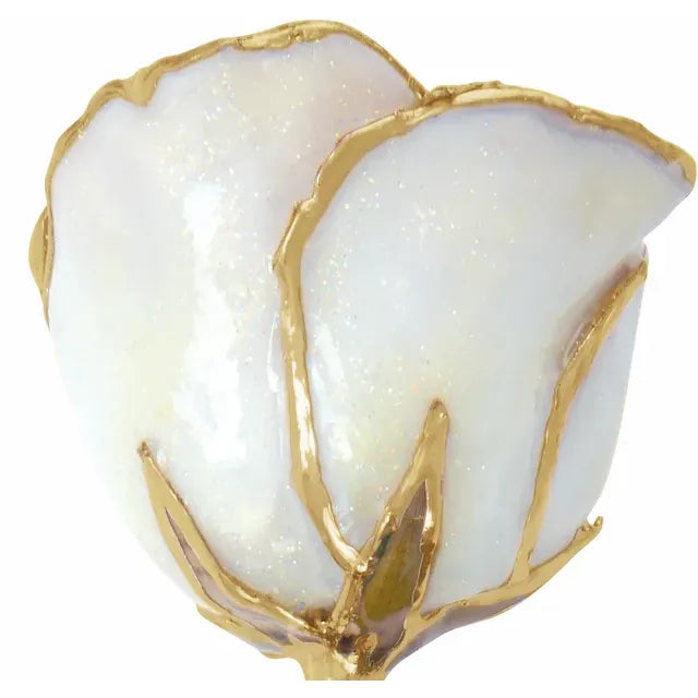 Lacquered Sparkle White Rose with Gold Trim
