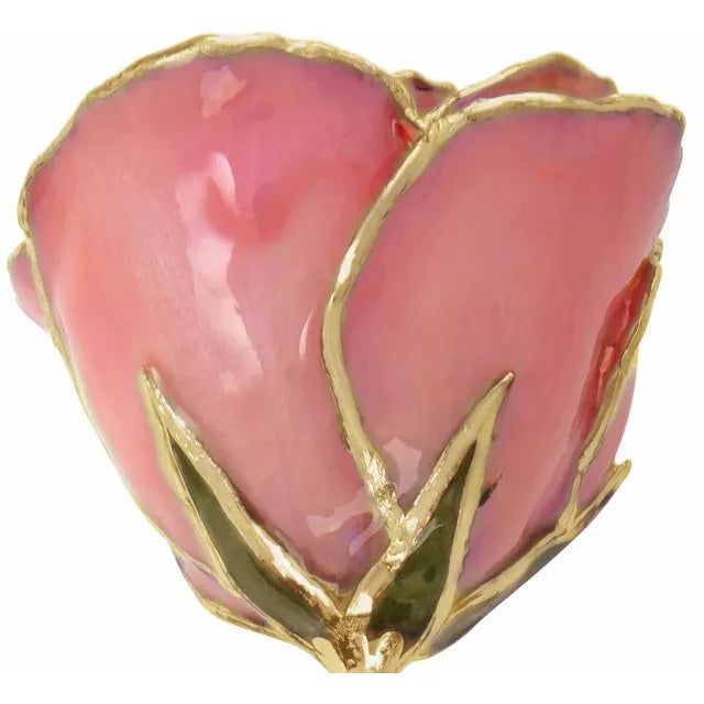 Lacquered Pink Pearl Rose with Gold Trim