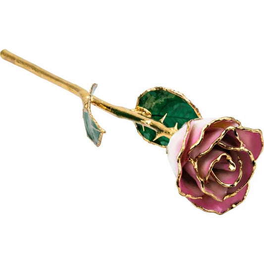 Lacquered Cream & Pink Rose with Gold Trim