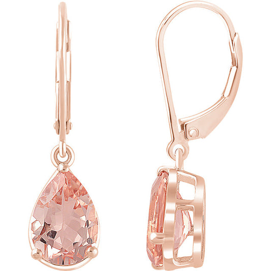 Bradford Morganite Dangle Earrings