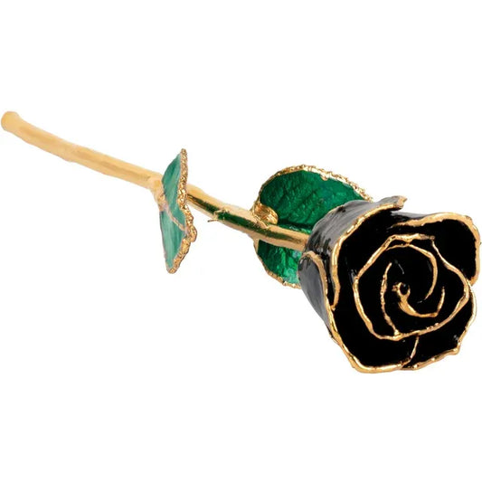 Lacquered Black Rose with Gold Trim