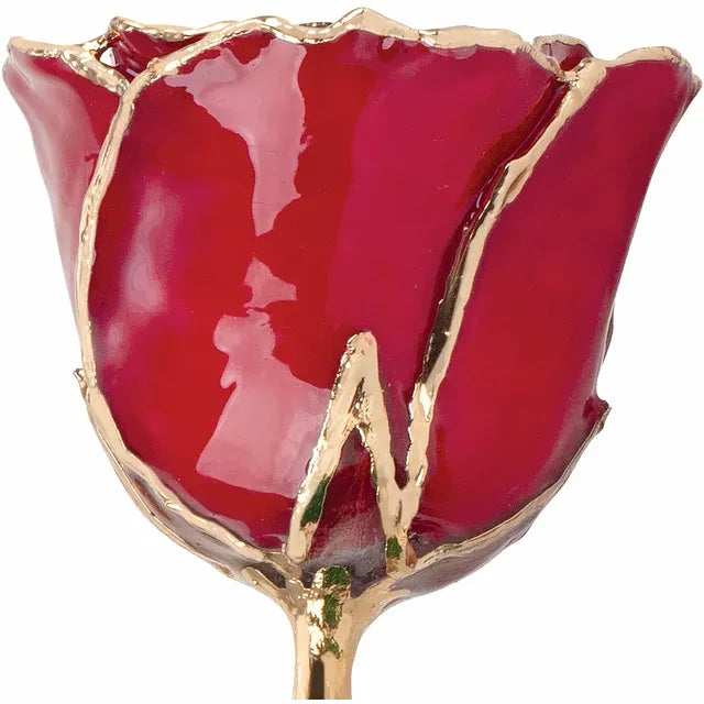 Lacquered Ruby Rose with Gold Trim