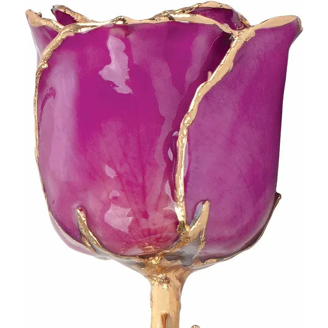 Lacquered Amethyst Rose with Gold Trim