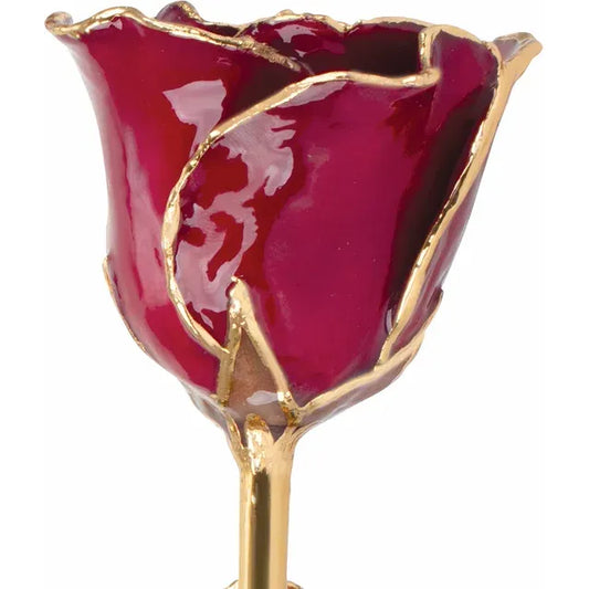 Lacquered Garnet Rose with Gold Trim