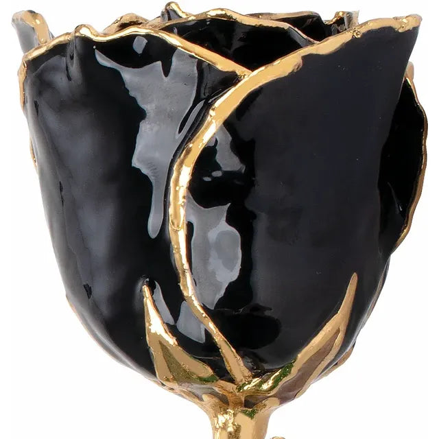Lacquered Black Rose with Gold Trim